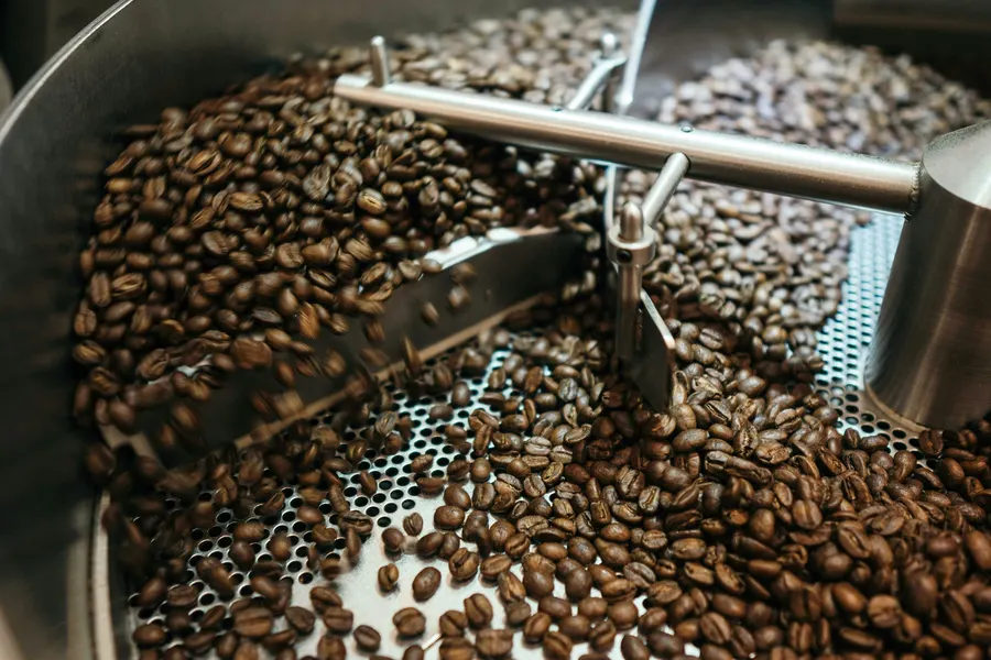 Green and roasted beans in a cooling tray